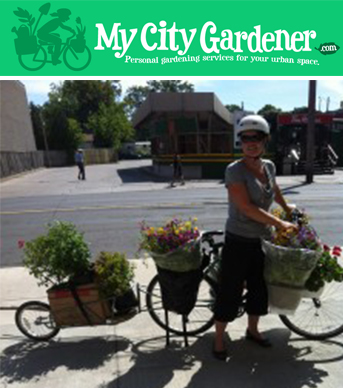 Torronto_mycitygardener_les-jardiniers-a-velo-fr