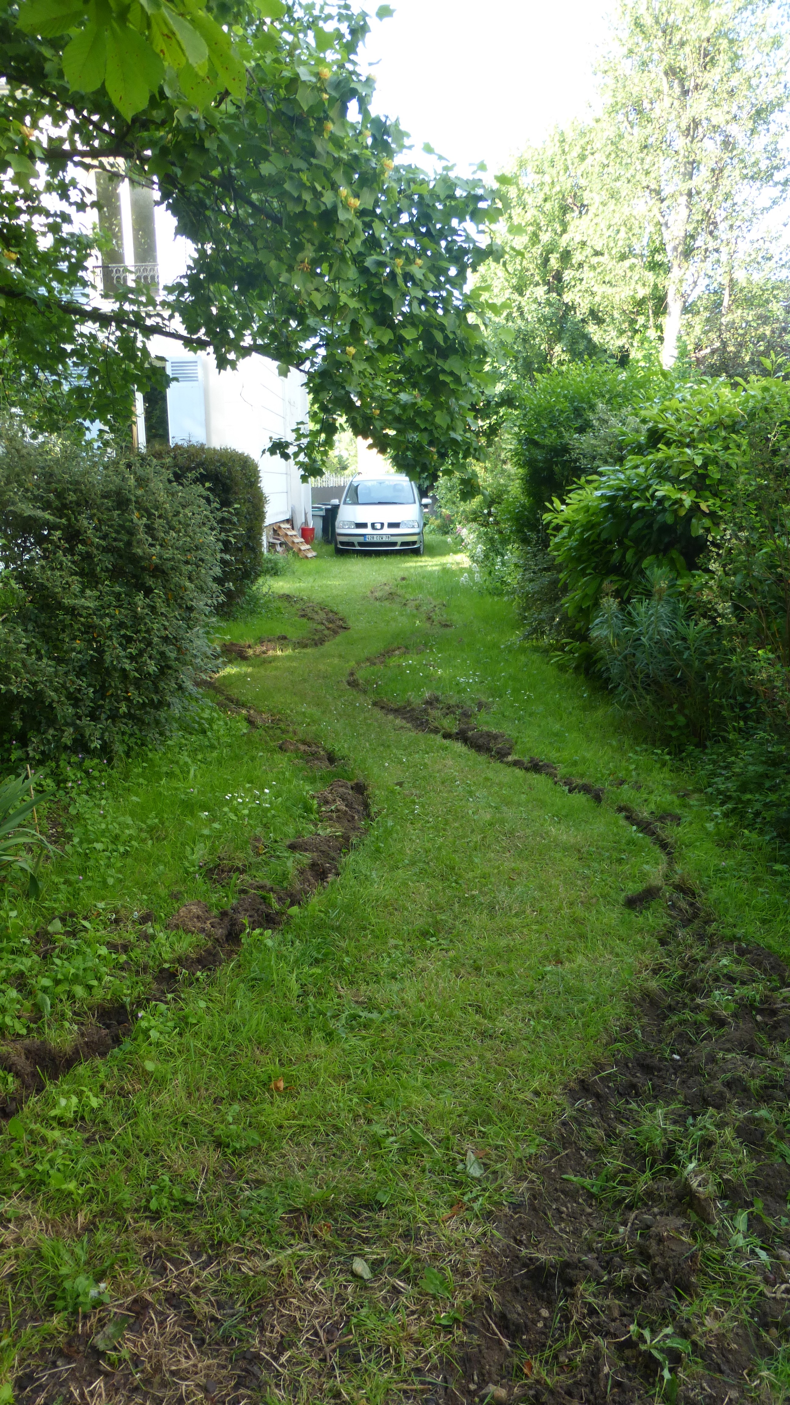 jardins particuliers yvelines maisons laffitte entretien aménagement création