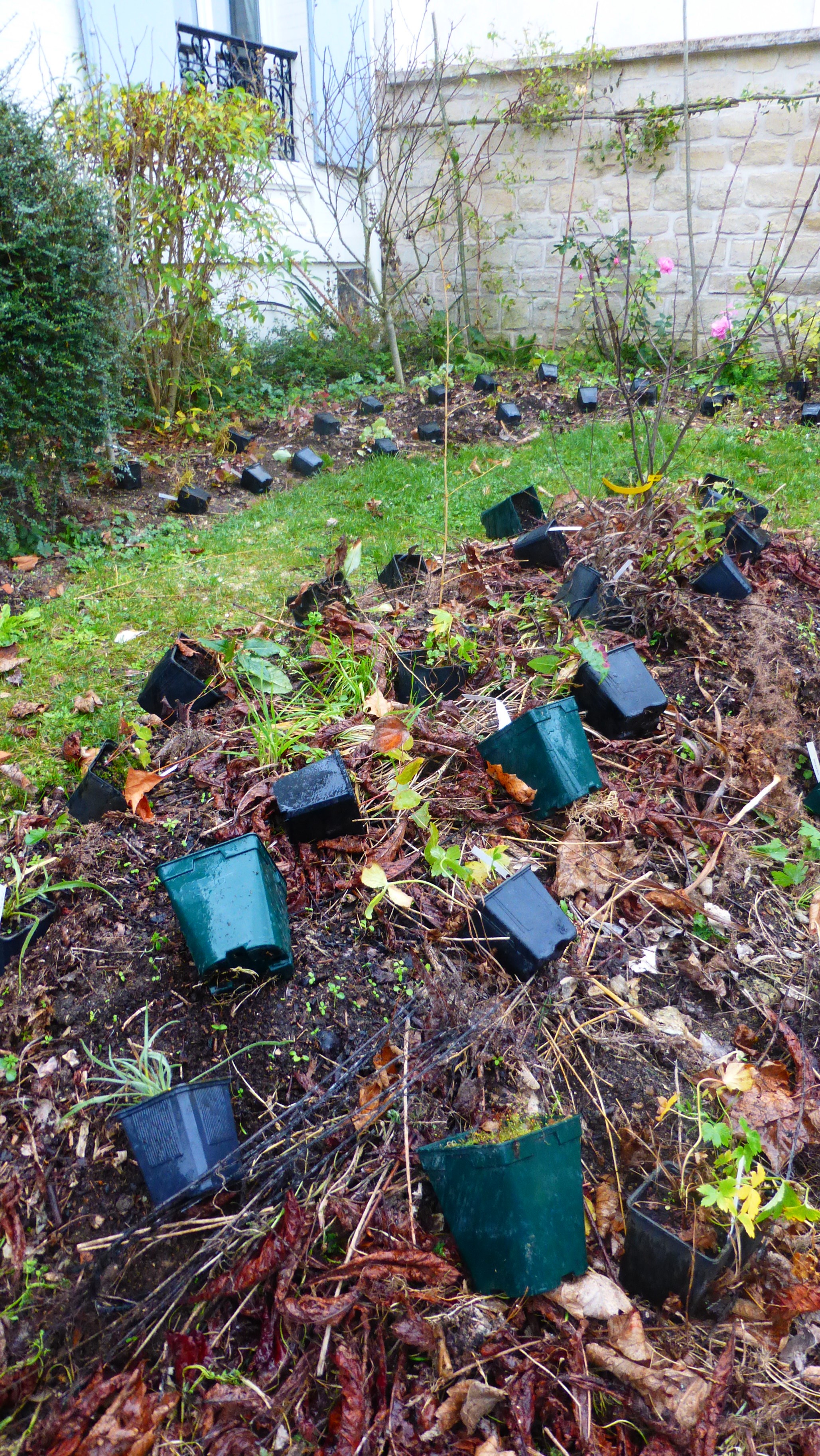 jardinier velo aménagement entretien création yvelines paris ile de france