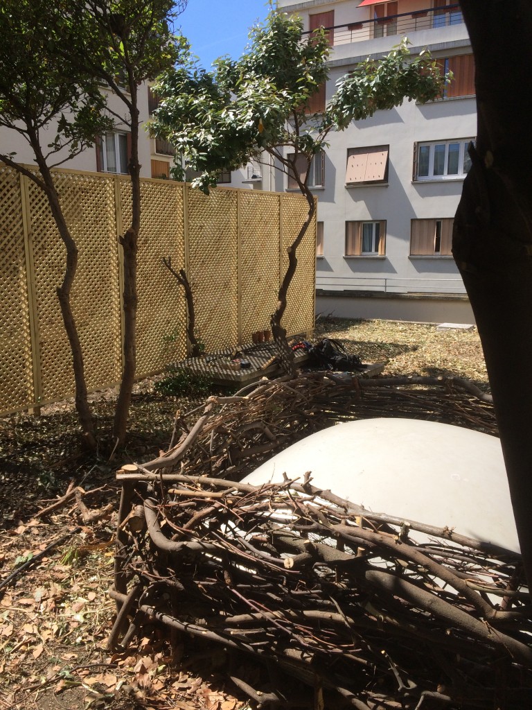 les jardiniers à vélo paris ile de france aménagement entretien terrasse jardin skydome habillage