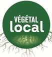 Végétal local