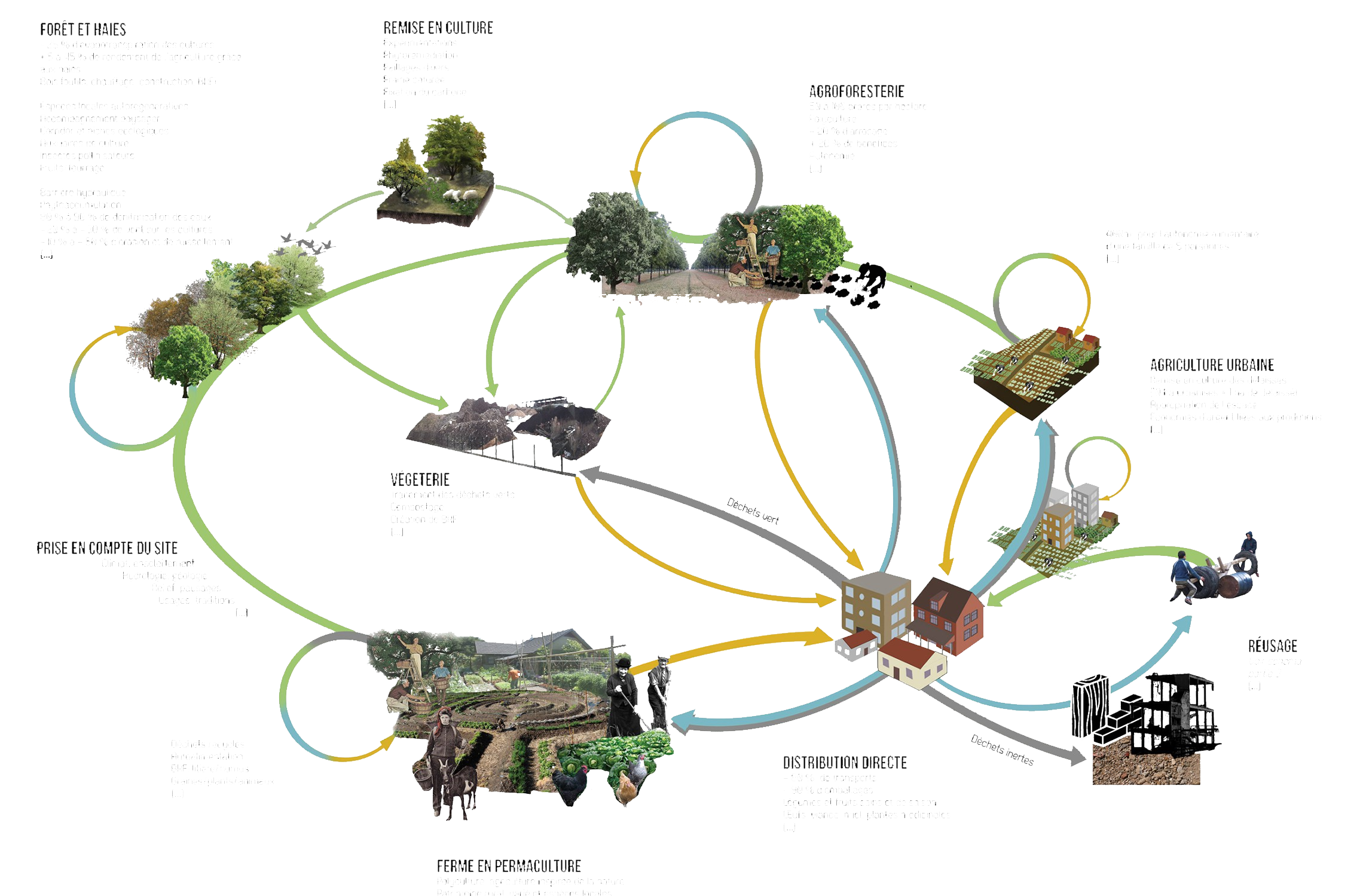 resiliencecycles