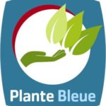 Plante bleue