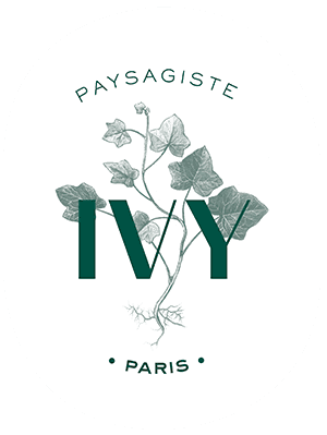 ivy paysagiste